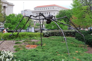 Louise Bourgeois: The Woman Behind The Spider Sculptures, MyArtBroker