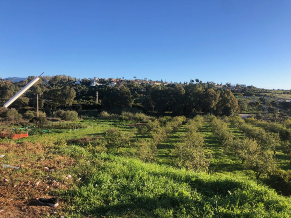 Estepona 8187m2 plot of Land with Sea views