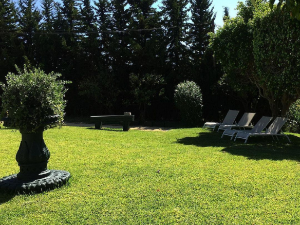 🏨 Boutique Hotel for Sale in Estepona – Short Distance to Town 🏖️🌴