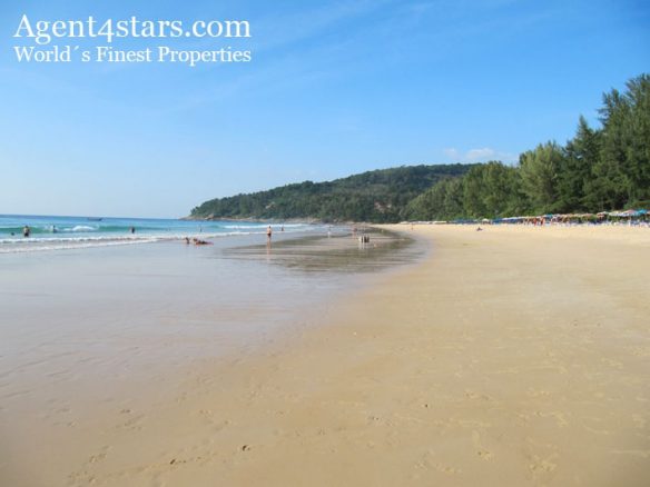 Elevated – Beach