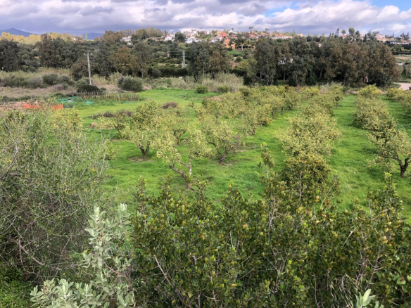 Estepona 8187m2 plot of Land with Sea views