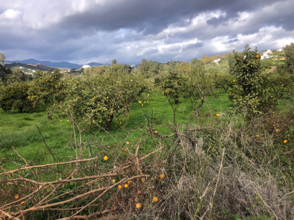 Estepona 8187m2 plot of Land with Sea views