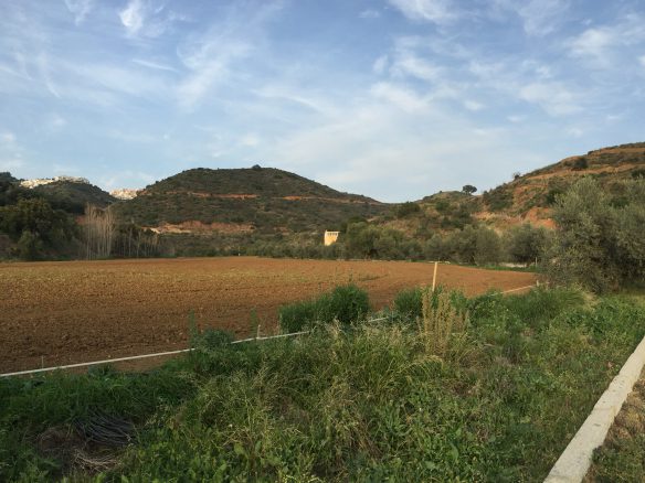 Marbella -Perfect Finca for horses app. 70 hectares