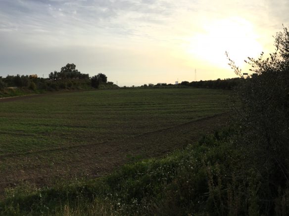 Marbella -Perfect Finca for horses app. 70 hectares