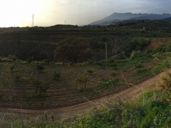 Marbella -Perfect Finca for horses app. 70 hectares
