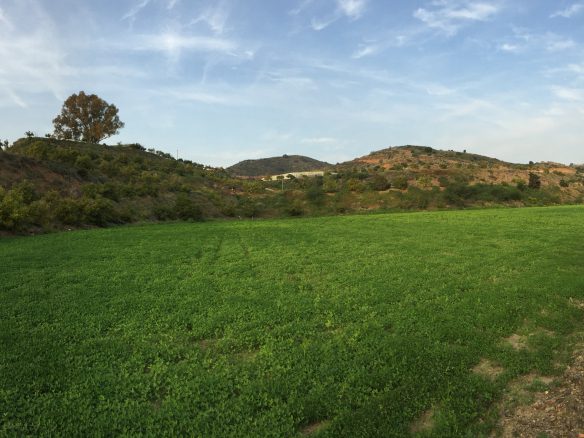 Marbella -Perfect Finca for horses app. 70 hectares