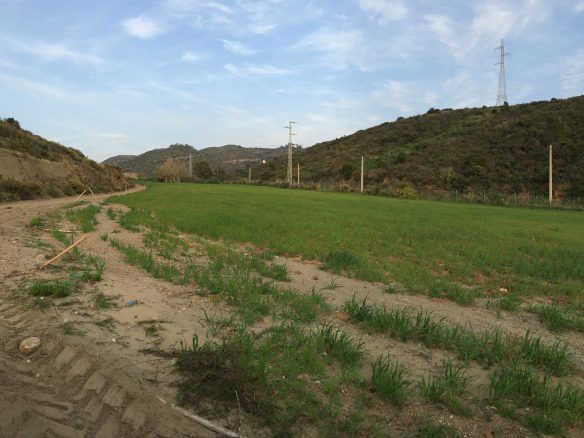 Marbella -Perfect Finca for horses app. 70 hectares