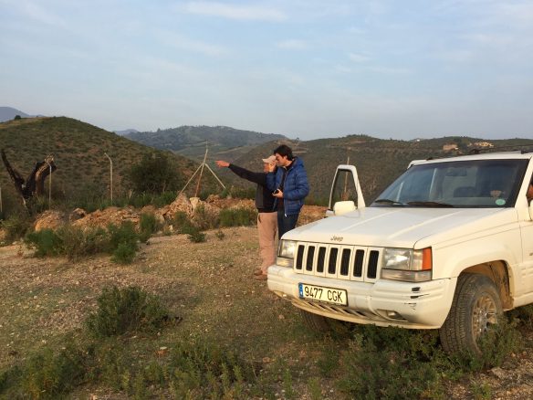 Marbella -Perfect Finca for horses app. 70 hectares