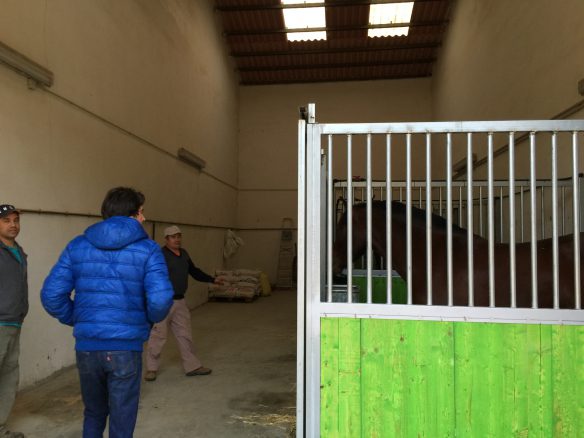 Marbella -Perfect Finca for horses app. 70 hectares