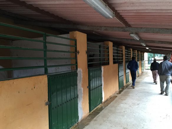 Marbella -Perfect Finca for horses app. 70 hectares