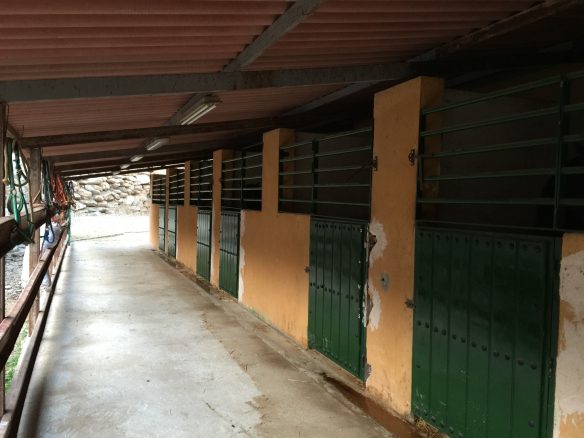 Marbella -Perfect Finca for horses app. 70 hectares