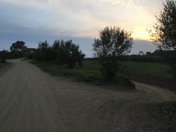 Marbella -Perfect Finca for horses app. 70 hectares