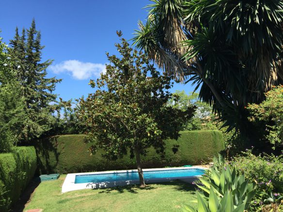 Nueva Andalucia villa to rent short & long term