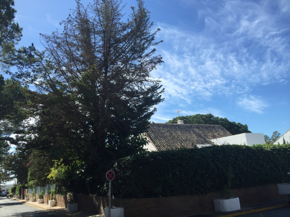 Puerto Banus holiday villas for rent short term