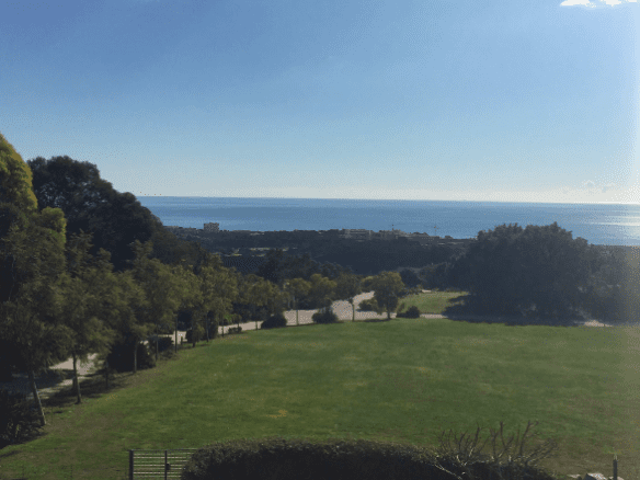 🌴 Unique Country Estate with Hotel Permit – Marbella 🏨✨