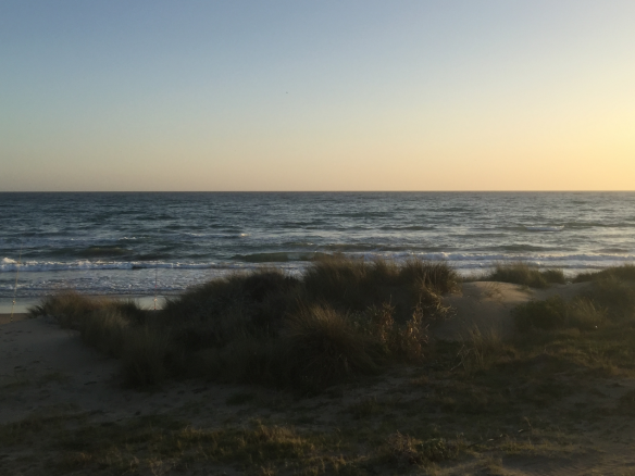 Sea view Plots for sale Marbella  & Costa del Sol