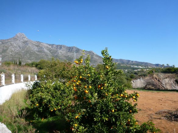 Golden mile (Marbella)- Building plot with Sea views