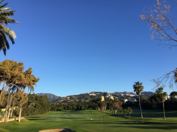 Los Monteros Palm beach apartments and penthouses for sale