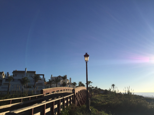 Los Monteros Palm beach apartments and penthouses for sale