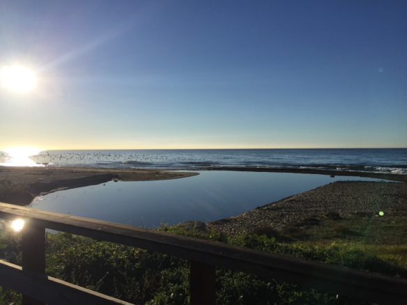 Los Monteros Palm beach apartments and penthouses for sale