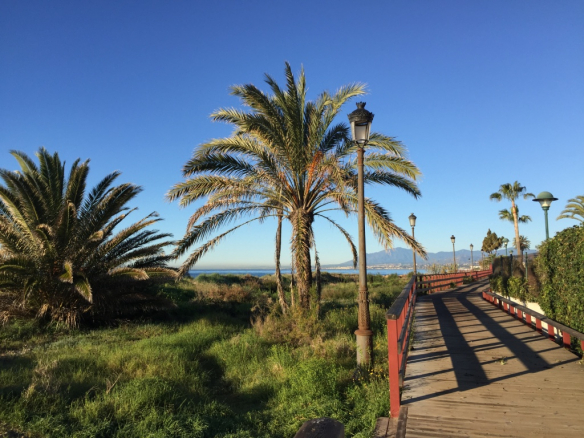 Los Monteros Palm beach apartments and penthouses for sale