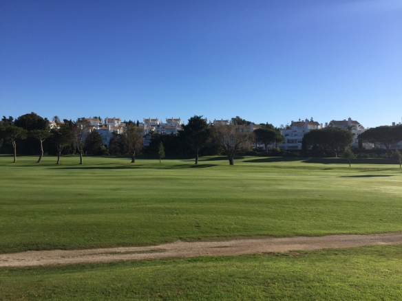 Los Monteros Palm beach apartments and penthouses for sale