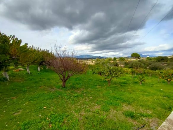 Estepona – Finca  for sale 9655m2  flat plot