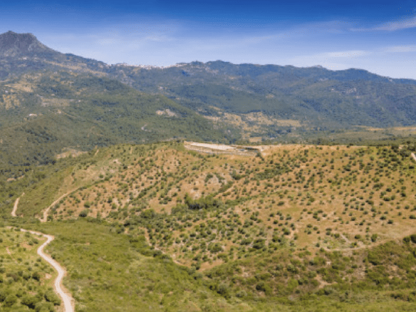 Gaucin – Finca 16ha – Permission for 25 Horses