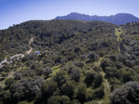 Gaucin – Finca 16ha – Permission for 25 Horses