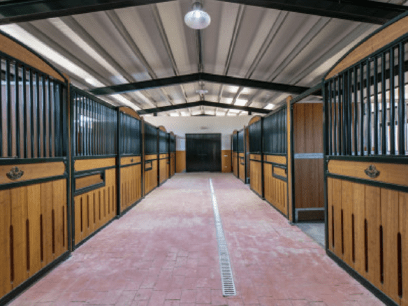 Gaucin – Finca 16ha – Permission for 25 Horses