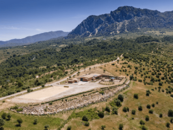 Gaucin – Finca 16ha – Permission for 25 Horses