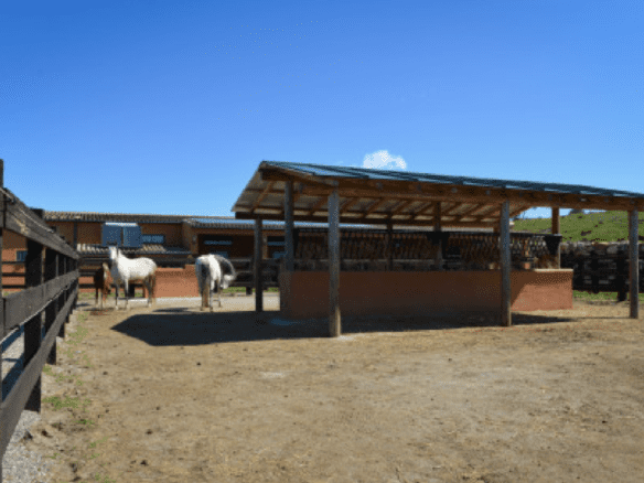 Gaucin – Finca 16ha – Permission for 25 Horses