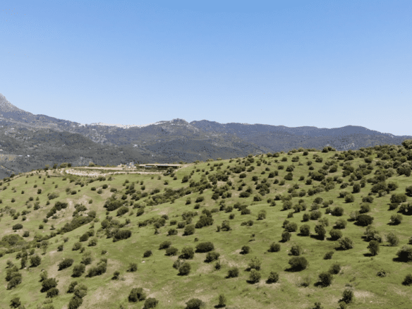 Gaucin – Finca 16ha – Permission for 25 Horses