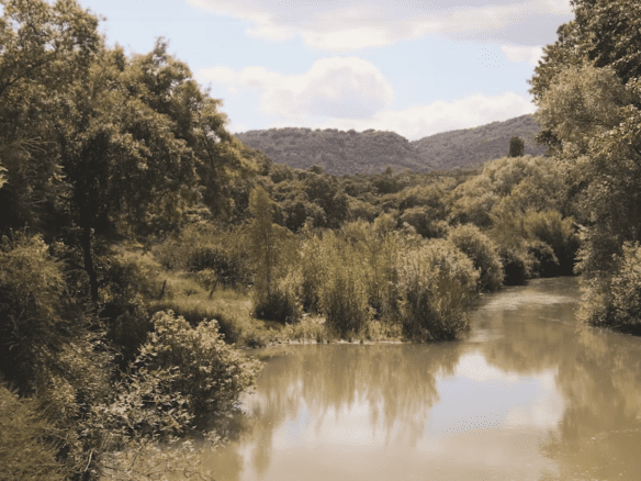 Andalucian Finca for sale – Flat  Land & River