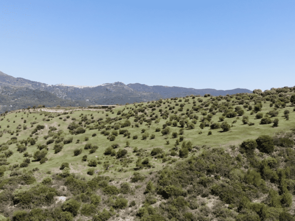 Gaucin – Finca 16ha – Permission for 25 Horses