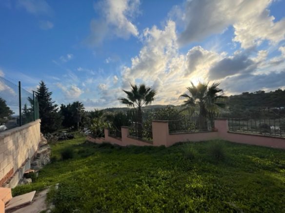 Estepona – Finca for sale – Near Coast