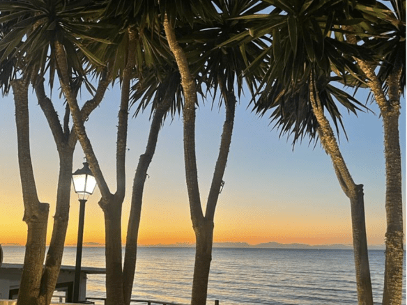 Beachfront Villa for sale – New Golden Mile (Estepona)