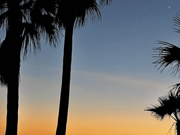 Beachfront Villa for sale – New Golden Mile (Estepona)
