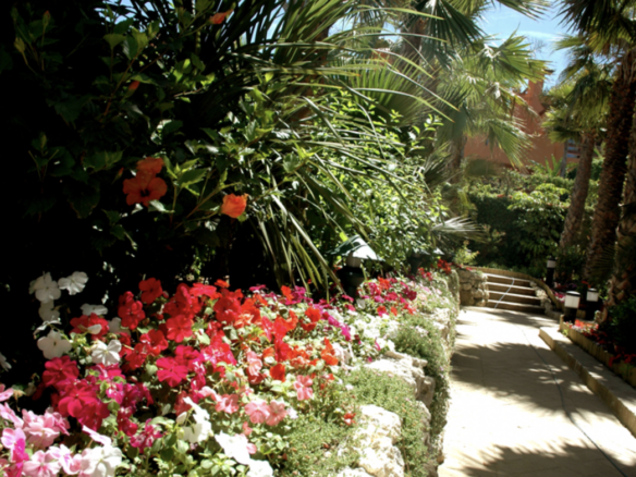 Golden Mile – Townhouse – Tropical Garden