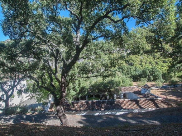 Casares – Country estate 10B – Sea & Mountain Views