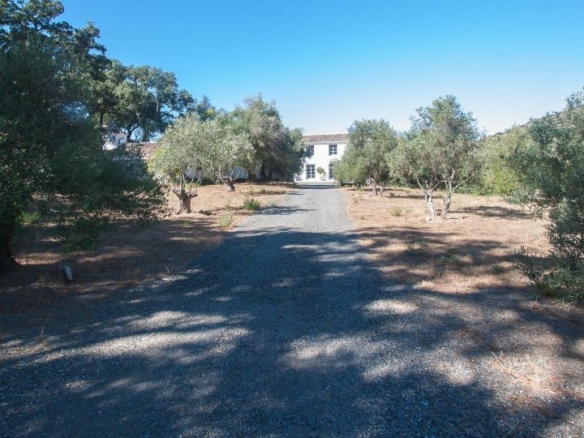 Casares – Country estate 10B – Sea & Mountain Views