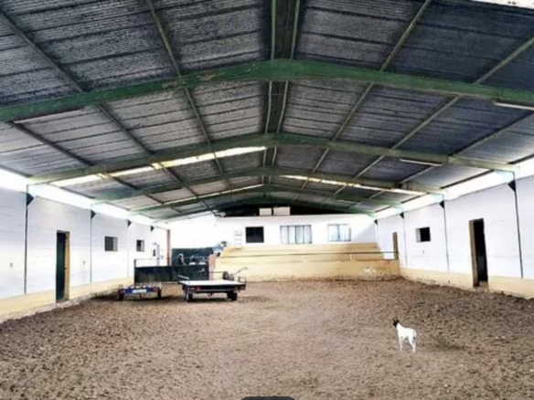Riding School with OCA Licence near Malaga Airport