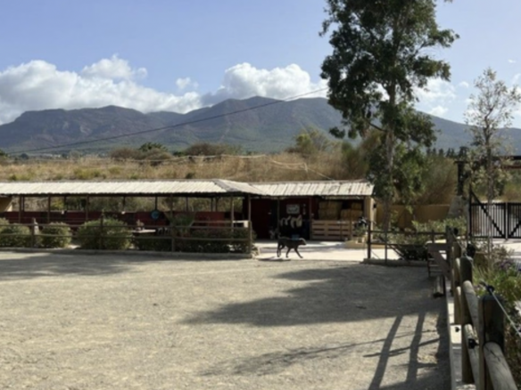 Alhaurin el Grande – Finca near Airport – OCA licence 5 Horses