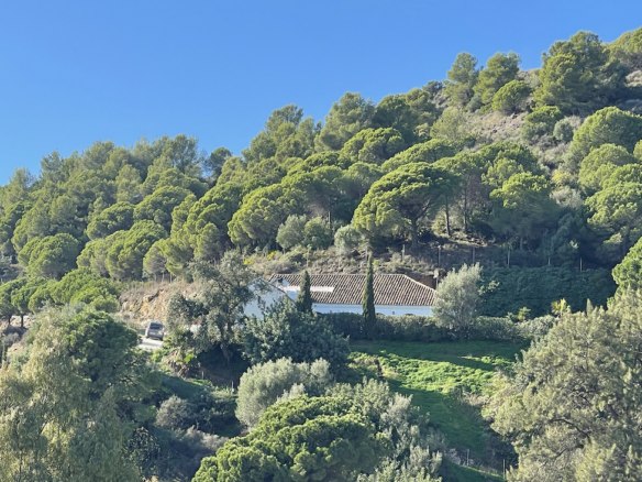 Bargain – Marbella Hillside – Private 3B Villa – Sea Views