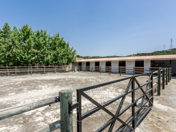 Inland Sotogrande – Equestrian Estate – 200000m2 land