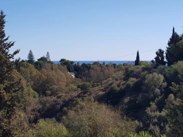 Marbella Golden Mile  – 3B Apartment – West Facing