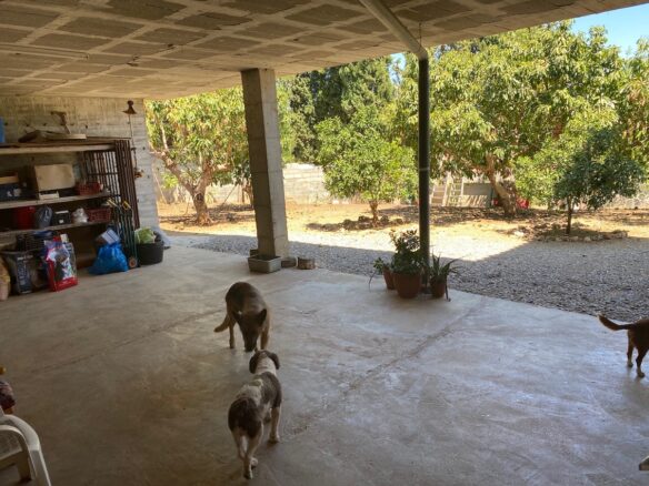 San Pedro – 5B Country Home  – To reform