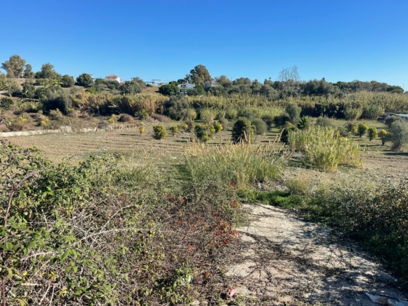 Estepona – 7500m2 Rustic Plot – Land for sale – Near the Sea