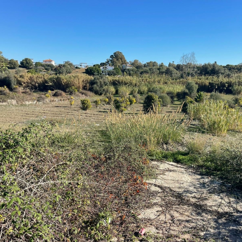 Estepona – 7500m2 Rustic Plot – Land for sale – Near the Sea
