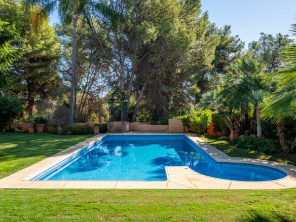 For Sale – Golden Mile – 5 Bed Mansion 🏡 – Beautiful Area 🌳 – Near Facilities 🏙️